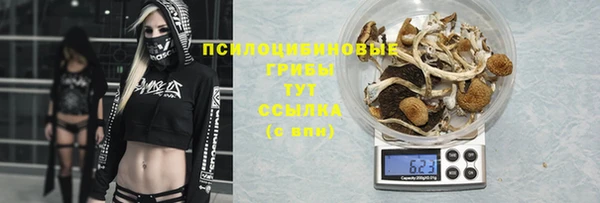 таблы Арсеньев