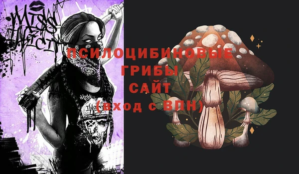 МДМА Очёр